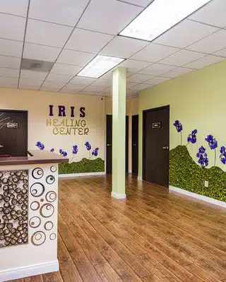 Iris Healing Center - Preview
