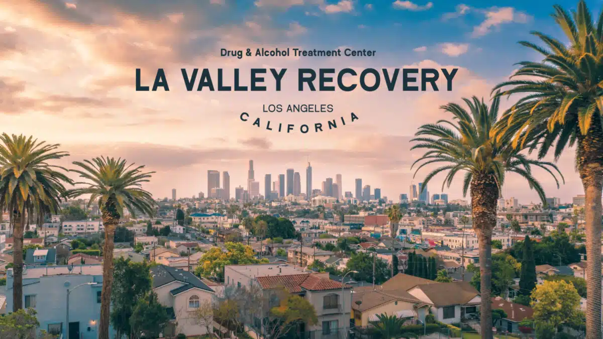 LA Valley Recovery - Preview