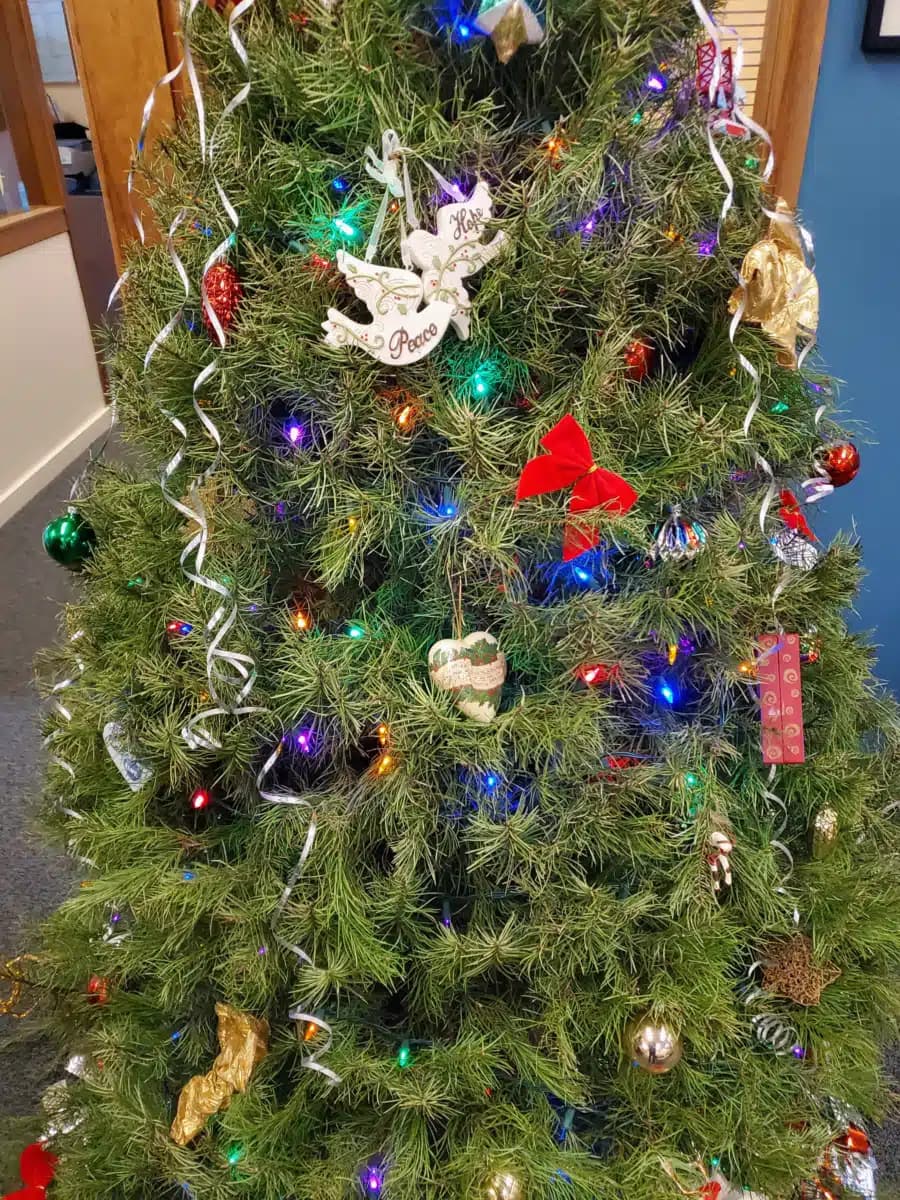 Marin Treatment Center