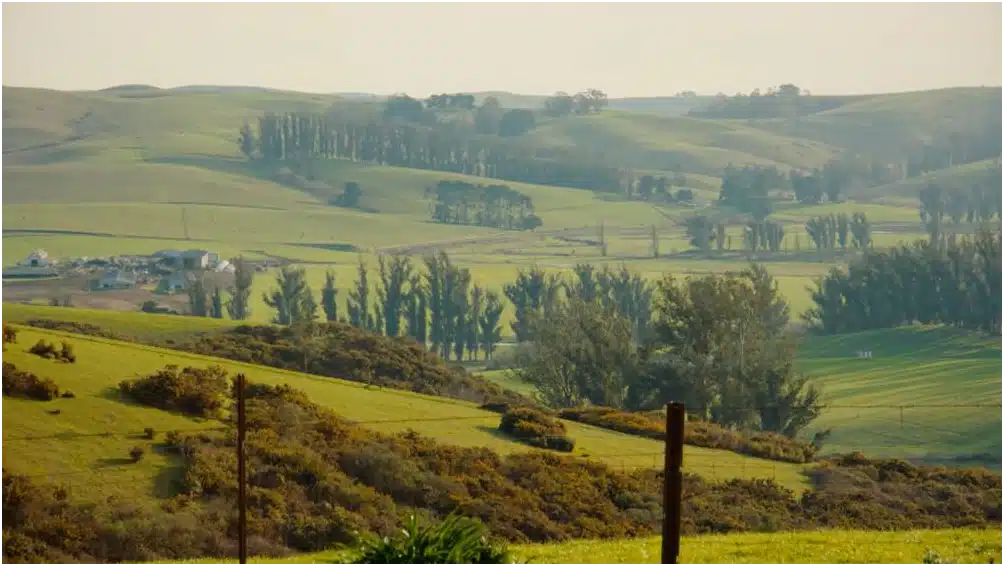 Sonoma Recovery Services LLC - Hero Image