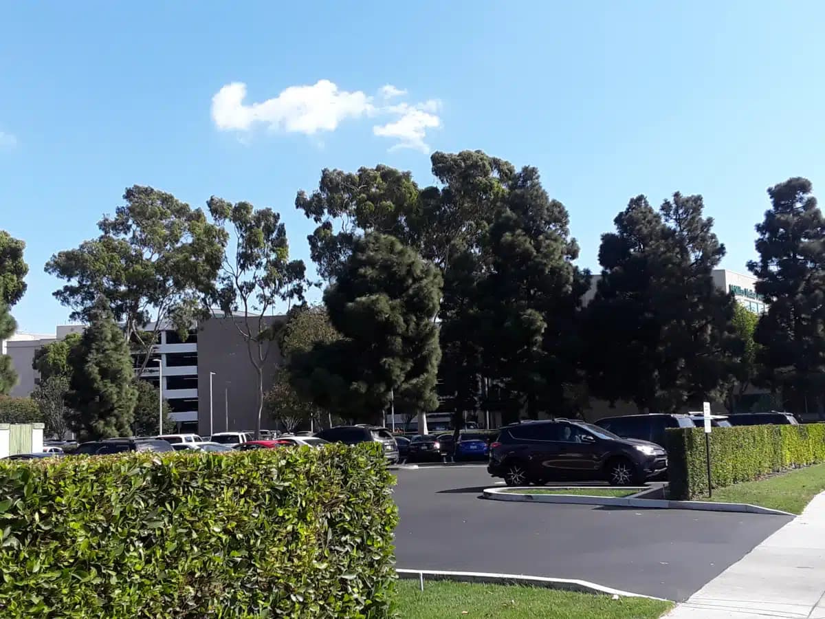 Thelma McMillen Recovery Center - Hero Image